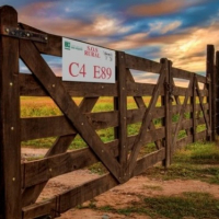 NATALIA SANCHEZ JAUREGUI (Diputada Provincial - Unión por la Patria). SOS Rural: 